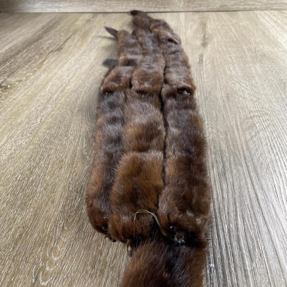 Stunning Vintage Japanese Ginza Furs Real Sable Full Size Scarf Stole EUC! - Picture 3 of 9